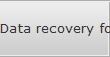 Data recovery for Amarillo data